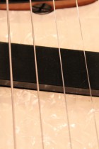 1969-MG-BG-Back-Strupe2