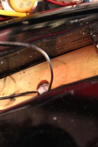 1969-Musiclander-BLK