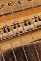 1969-SG-CTM-WNT-TG0066