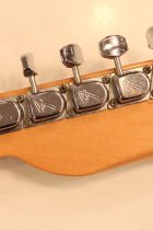 1969-TL-Thinline-NAT2