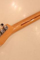 1969-TL-Thinline-NAT2