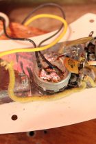 1969-TL-Thinline-NAT2