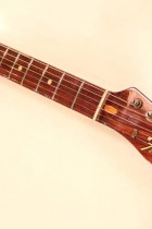 1970-All-Rose-TL