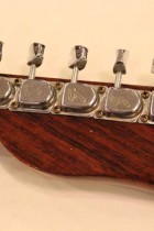 1970-All-Rose-TL