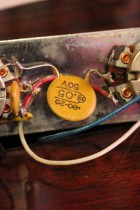 1970-All-Rose-TL