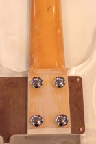 1970-Ampeg-Lucite3
