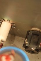 1970-Marshall-Reverb-WHT-TA0077