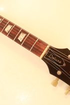 1971-LP-STD-SB-TG0228