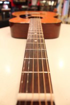 1971-Martin-OOO18-NAT