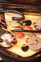 1971-SG-STD-BLK-TG0117