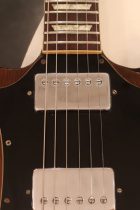 1971-SG-STD-WNT-TG0113