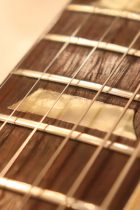 1971-SG-STD-WNT-TG0113