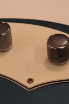 1972-TL-Bass-LPB