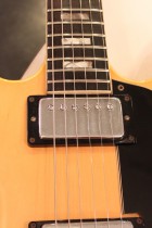 1973-ES335TD-NAT