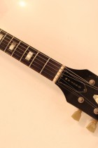 1973-ES335TD-NAT