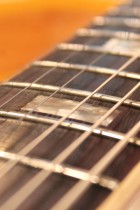 1973-ES335TD-NAT