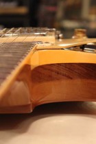 1973-LP-DLX-GT-Lefty