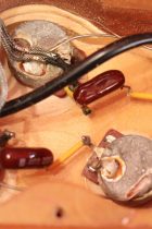 1973-LP-DLX-GT-TG0080