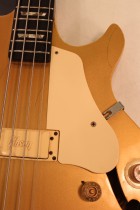 1973-Lp-Sig-Bass-GT