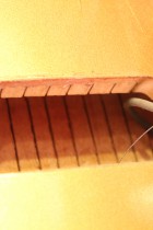 1973-Lp-Sig-Bass-GT