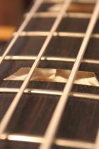 1973-Lp-Sig-Bass-GT2