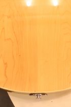 1973-Ricknbacker-4005MG-TO0011