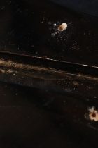 1973-TL-BASS-BLK-TF0236
