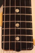 1973-TL-BLD2