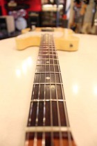 1973-TL-BLD2