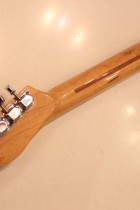1973-TL-BLD2