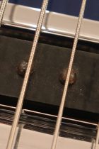 1974-Rickenbacker-4001-AG-TO0045