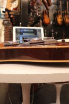1976-STARCASTER-WN-TF0159