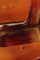 1976-TL-DLX-BR