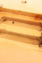 1977-MusicMan-Stingray-Bass-WH-TO0008