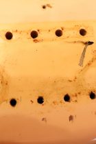 1977-MusicMan-Stingray-Bass-WH-TO0008