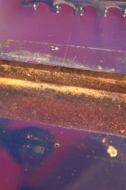 1978-Rickenbacker-4001-AG