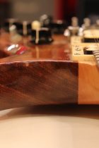 1979-BCRich-Bich-NAT