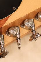 1979-BCRich-Bich-NAT