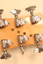 1979-BCRich-Bich-NAT