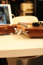 1979-BCRich-Bich-NAT