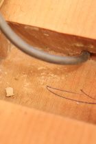 1979-BCRich-Bich-NAT