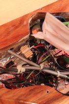 1979-BCRich-Bich-NAT