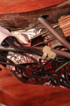 1979-BCRich-Bich-NAT