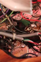 1979-BCRich-Bich-NAT