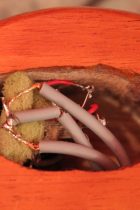 1995-ZEMAITIS-CTM-40th-PEARL