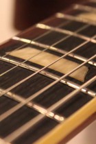 2005-MAX-59LP-STD-SB
