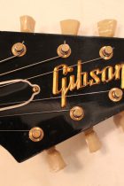 2016-DaveJohnson-FV-Korina