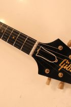 2016-DaveJohnson-FV-Korina