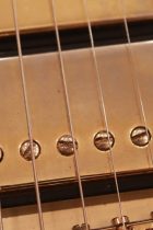 1965-SG-CTM-PWHーTG0229